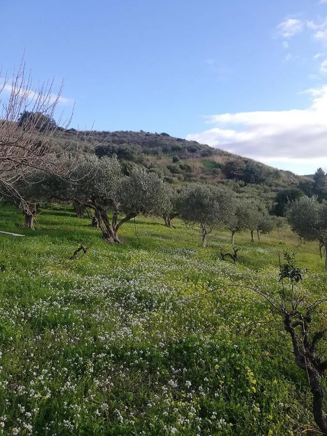 カステッランマーレ・デル・ゴルフォ Rustico In Campagna A Due Passi Dal Mare - Scopelloヴィラ 0*,  イタリア